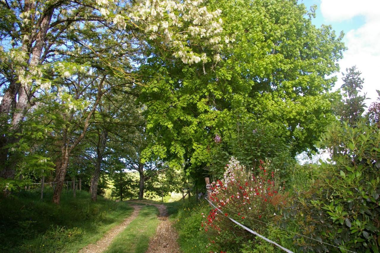 Gite L'Appel De La Foret Betplan エクステリア 写真