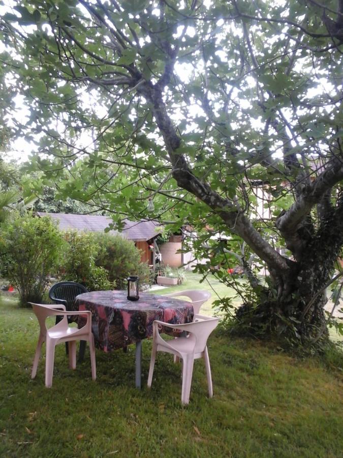 Gite L'Appel De La Foret Betplan エクステリア 写真