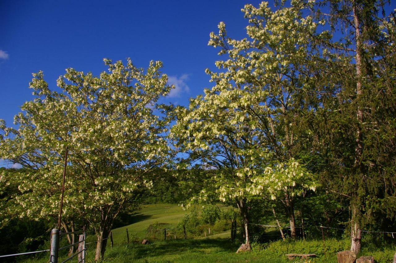 Gite L'Appel De La Foret Betplan エクステリア 写真